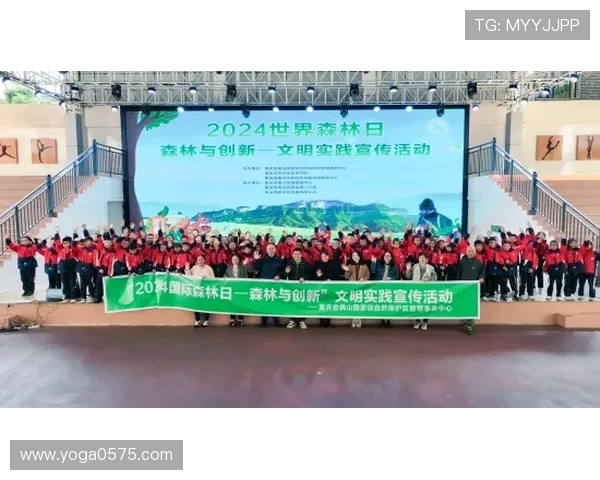 重庆飞盘队防反战术创新探索与实践全景解析