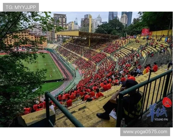 广州排球队比赛经验引发热议球迷观点各异的背后故事