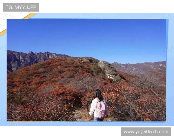 飞盘之路:黄丽如何在深度对话中探索人生的无限可能 飞盘之路:黄丽如何在深度对话中探索人生的无限可能