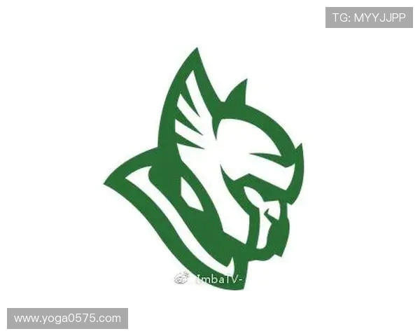 CSGO战术解析：深入剖析FPX战队的进攻策略与执行细节